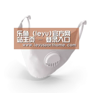 N95 口罩