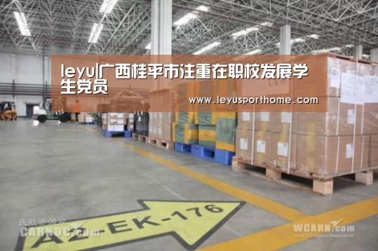 leyu|广西桂平市注重在职校发展学生党员