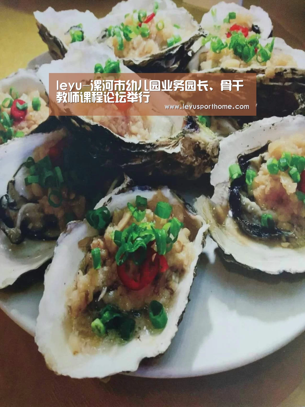 leyu-漯河市幼儿园业务园长、骨干教师课程论坛举行(图2) 乐鱼入口