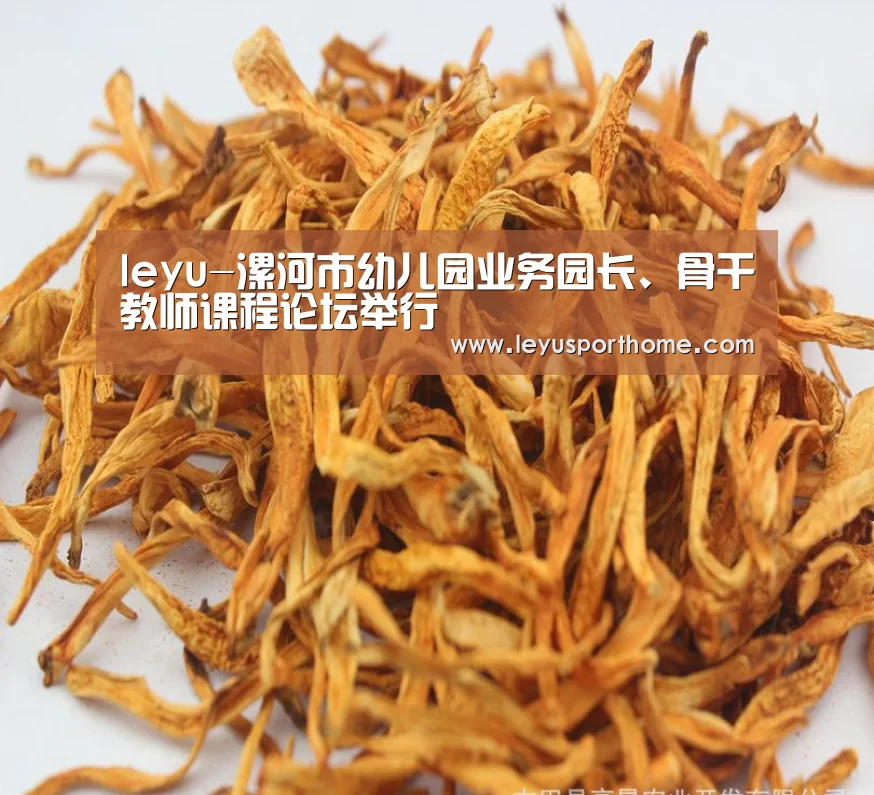 leyu-漯河市幼儿园业务园长、骨干教师课程论坛举行(图4) leyu-漯河市幼儿园业务园长、骨干教师课程论坛举行(图4)