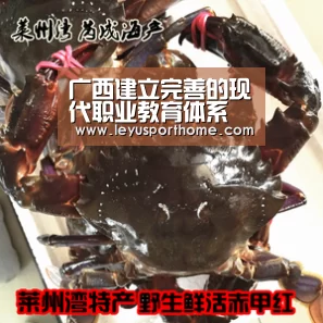 广西建立完善的现代职业教育体系 为“一带一路”培养人才:乐鱼入口(图2) 乐鱼登陆入口