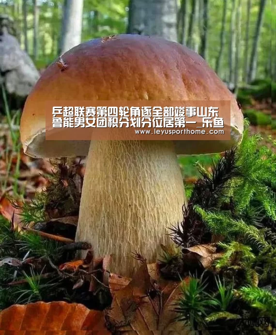 乒超联赛第四轮角逐全部竣事山东鲁能男女团积分划分位居第一_乐鱼登陆入口(图4) 乐鱼入口