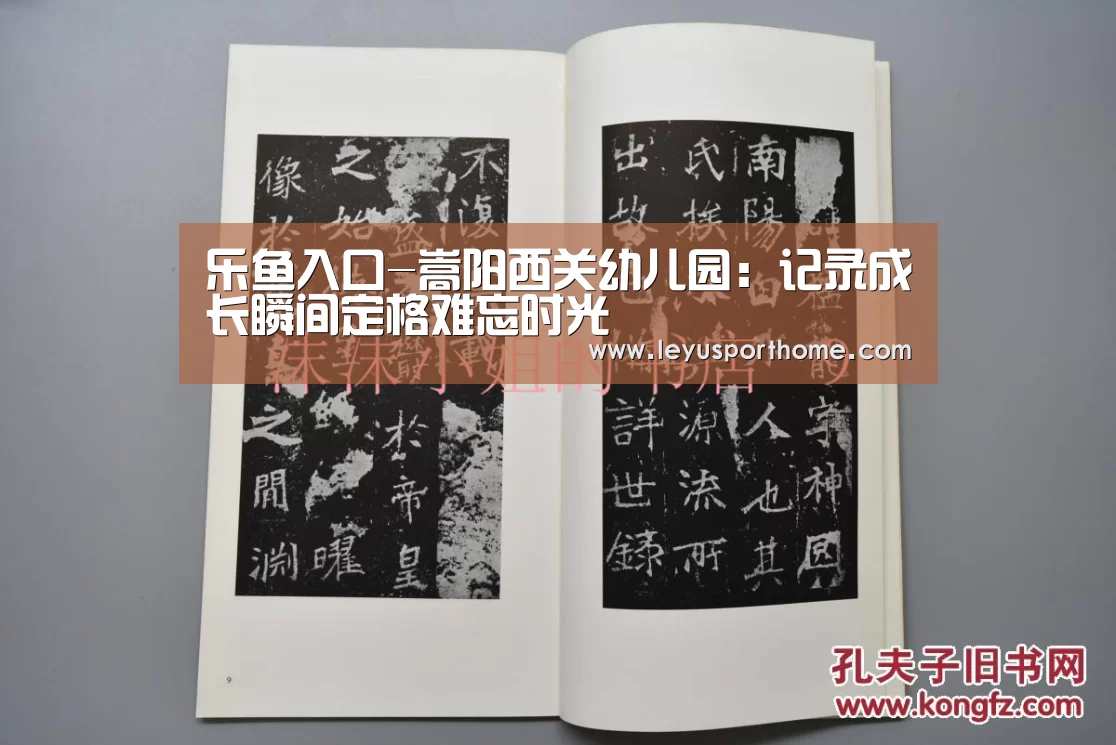 乐鱼入口