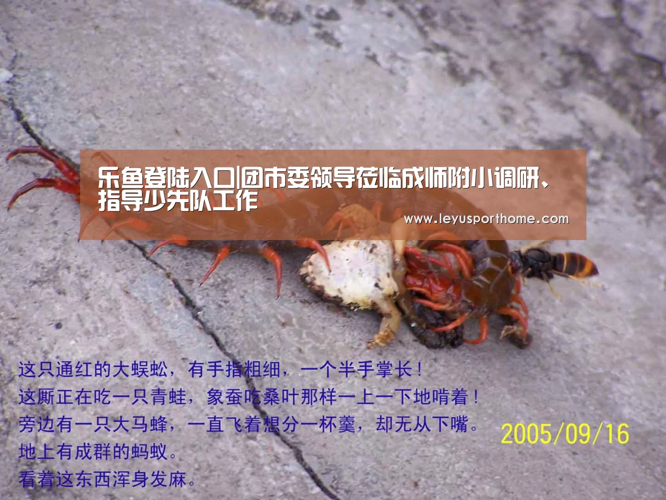 乐鱼登陆入口