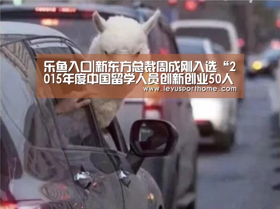 乐鱼入口