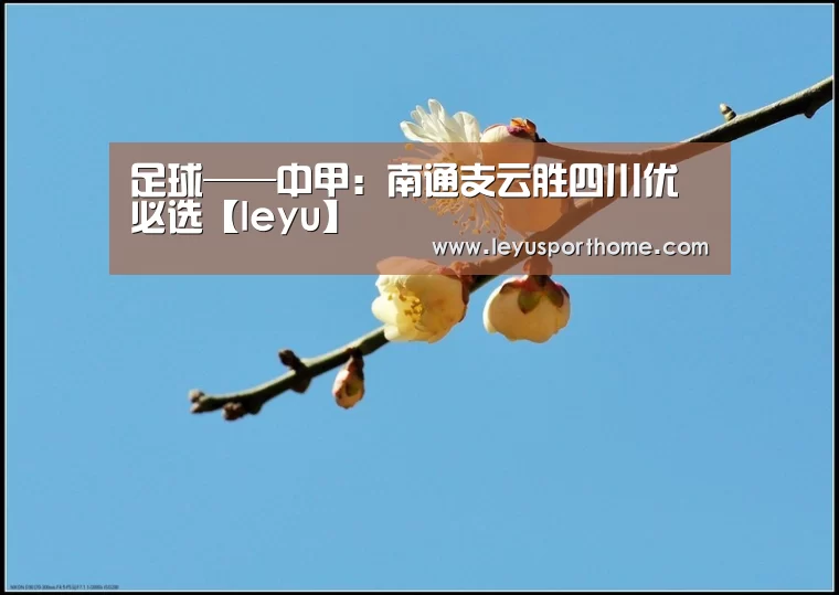 乐鱼登陆入口